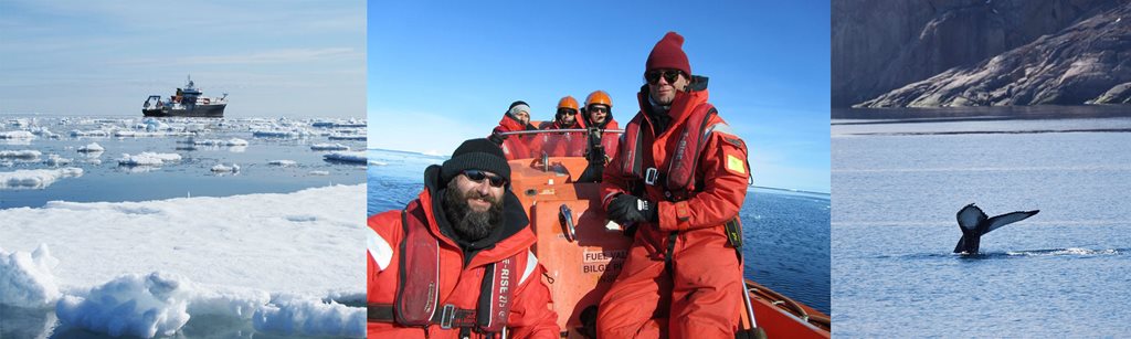 Montage of images showing research vessel in sea ice, crew on boat and humpback whale tail