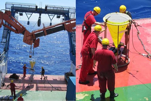 Scientists working on deck