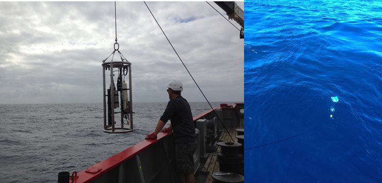 Optics rig in the water and being lifted out