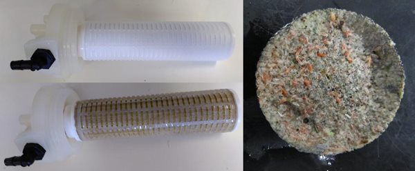 Filters turning from white to green, thick with phytoplankton and zooplankton clog the sieve filters in the sink.