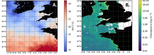Satellite imagery showing sea surface temperature