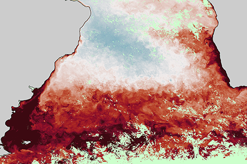 Net Community Production in the South Atlantic